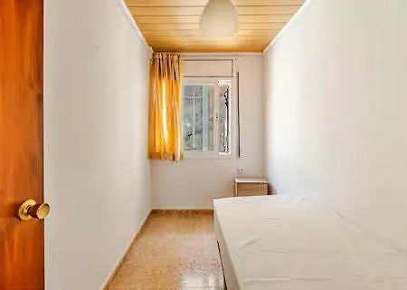 فيلة Confortable Big *